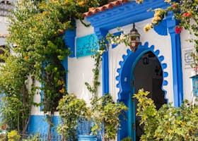 Beautiful blue-and-white building entrance adorned with lush greenery in Chefchaouen, Morocco.